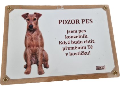 Irský teriér