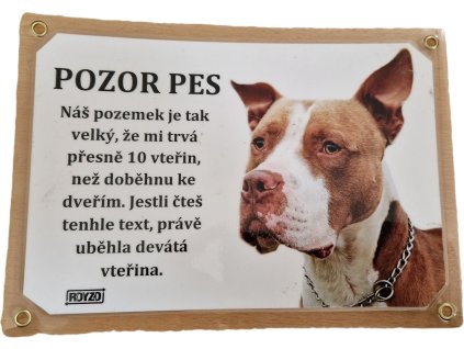 Americký pitbulteriér hnědý