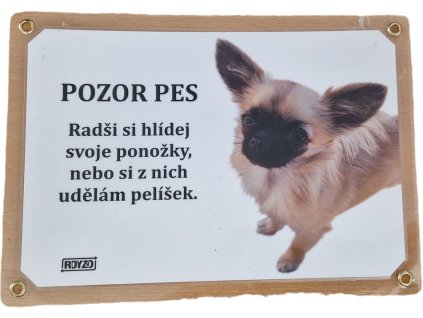 Čivava dlouhosrstá světlá s pálením