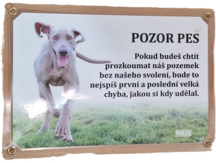 Výmarský Ohař 2