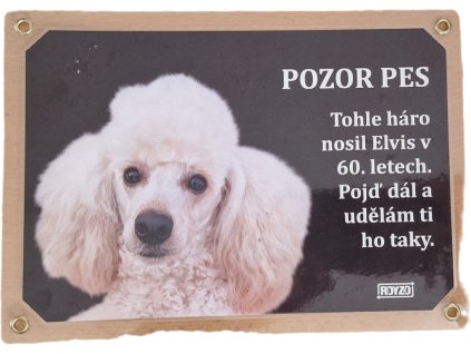 Pudl trpasličí apricot