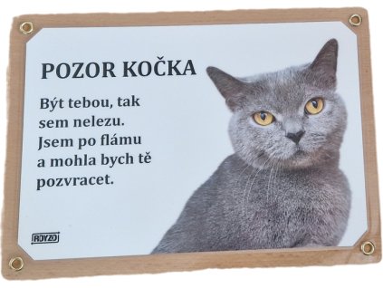 Britská kočka