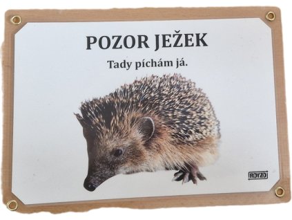 Ježek