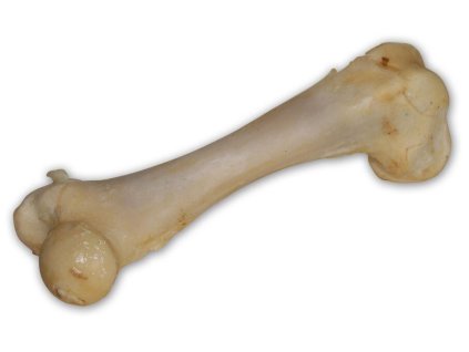 Vepřová kost bílá - extrudovaná 1 ks/17 cm