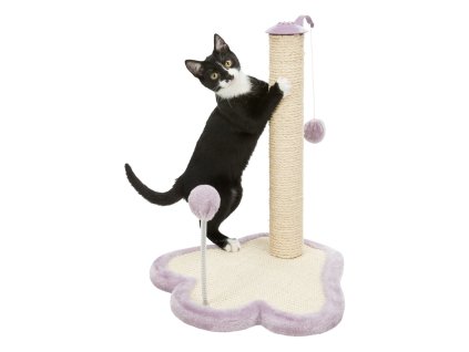 JUNIOR škrabadlo packa s kuličkou na pružině a gumičce 40 x 38 cm