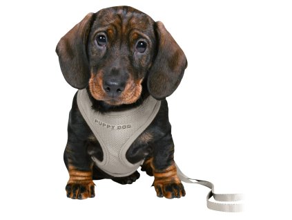 JUNIOR SOFT postroj s vodítkem pro štěňata, světlešedá (Velikost S-M: 26-34 cm/10 mm, 2,00 m)