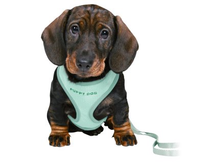 JUNIOR SOFT postroj s vodítkem pro štěňata, mátová (Velikost S-M: 26-34 cm/10 mm, 2,00 m)