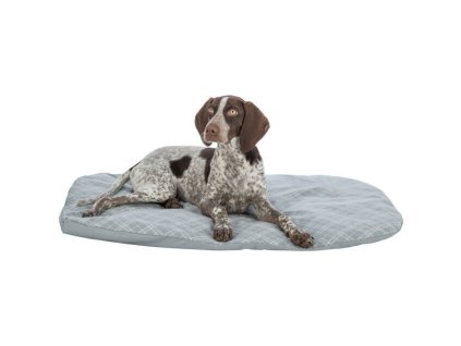 Oválný polštář JESSIE, bavlna/polyester, šedá/bílá