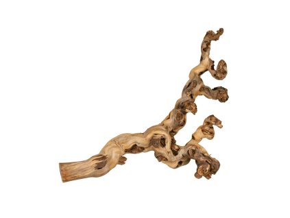 Přírodní dekorace do terária, větev z vinné révy (Velikost XL: 55-75 cm)