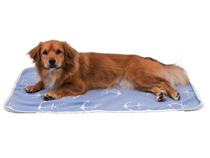 Deka Anchor, modrá/bílá (Velikost 100 x 70 cm)