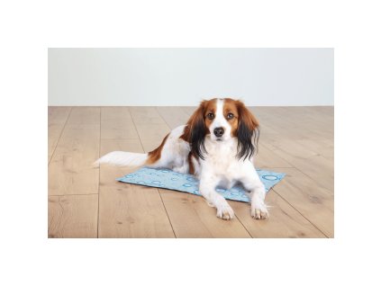 Chladící podložka pro zvířata, motiv bublinky, světle modrá (Velikost 40 x 30cm)