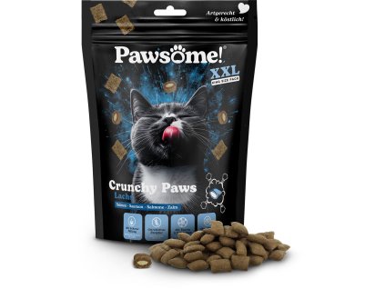 Pawsome! Crunchy Paws s lososem 150 g