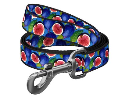 WAUDOG vodítko nylon Fíky (L-XXL/122cm/2,5cm)