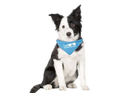 Satek pro psy Surfdog 35 50cm 20mm 1105201714491290050