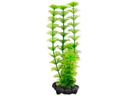 A1 270145 large
