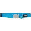 Red Dingo obojek pro kočky – Turquoise – 12 mm