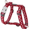 Red Dingo postroj – Stars White on Red – 12 mm x 30-44 cm
