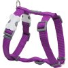 Red Dingo postroj – Purple – 15 mm x 36-54 cm
