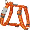 Red Dingo postroj – Lotzadotz Orange – 15 mm x 36-54 cm