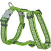 Red Dingo postroj reflexní – Bones Lime – 20 mm x 45-66 cm