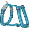 Red Dingo postroj reflexní – Bones Turquoise – 20 mm x 45-66 cm