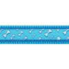Red Dingo vodítko – Flying Bones Turquoise – 25 mm x 1,8 m