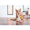Hračka pro psy Red Dingo Durables – Kakadu Craig, 20,5 cm