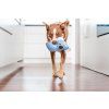 Hračka pro psy Red Dingo Durables – Koala Kim, 20 cm