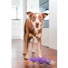 Hračka pro psy Red Dingo Durables – Ptakopysk Pam, 28 cm