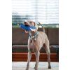 Hračka pro psy Red Dingo Durables – Žralok Steve, 25 cm