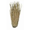 Lucky Reptile Grass Bushes 25 40 cm 210320252030332031