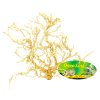Lucky Reptile Desert Bushes Vybelene cca 15 20 cm 2911202500303087830