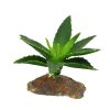 Lucky Reptile Sukulenty Agave male cca 10 cm 291120250030269418