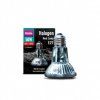 Arcadia Halogen Basking Spot 75W 2101202600302332116