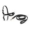PetSafe EasyWalk Postroj pro psy cerna XL 0710202211250769721
