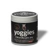 yoggies sladkovodni rasa chlorella pro psy 100g (1)