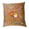 KOI MIX mini pellet kuličky, sáček 10 l