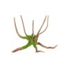 Akvarijní dekorace KIPOUSS pavoučí kořen M Zolux