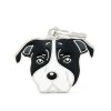 BLACK&WHITE AMERICAN STAFFIRDSHIRE TERRIER