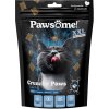 Pawsome! Crunchy Paws s lososem 150 g