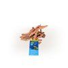 Azalea Root XS