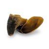 KIDDOG 100% Natural Snack, hovězí kopyto - pazneht