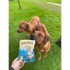 Soopa Natural Chews Kokos 100 g