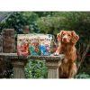 Soopa Natural Chews Kokos 100 g