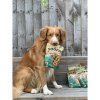 Soopa Natural Chews Papája 85 g