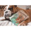 Soopa Natural Chews Papája 85 g