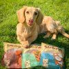 Soopa Natural Chews Batáty 100 g
