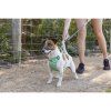 Red Dingo vodítko SuperLead Running – Fuchsia – 20 mm x 2,25 m