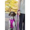 Red Dingo vodítko SuperLead Running – Fuchsia – 20 mm x 2,25 m