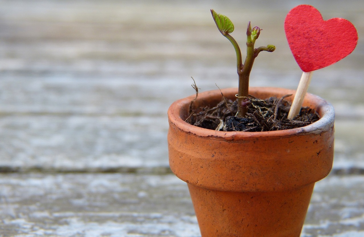 Květináče nejen pro květiny: Originální a praktické využití